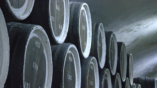 A Wine Cellar. Storage Room for Wine in Bottles and Barrels. Old wine in a dark underground vault. Wooden oak whiskey