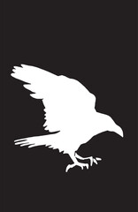 Ink pen vector silhouette of crow flying isolated on black background. Element for design,tattoo and printing