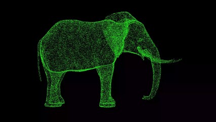 3D Elephant on black bg. Seamless loop animation for animals, nature and educational backgrounds.. For title, text, presentation. Business advertising backdrop. 3D animation.
