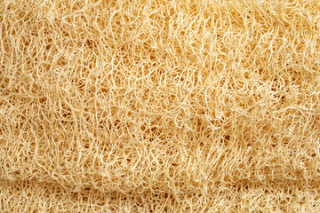 Texture of beige Loofah natural sponge soft focus close-up.