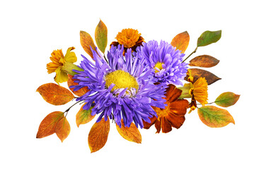 Autumn floral arrangement with purple asters, ginger marigold flowers and colorful leaves isolated...