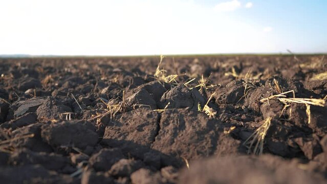 combines plowed field. modern farming and irrigation business concept. fresh arable land after the tractor before sowing. clods of dirty ground on a plowed field lifestyle close-up