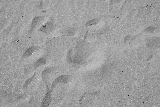 Black and white abstract background beach sand with foot print marks