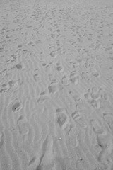 Black and white abstract background beach sand with foot print marks