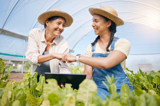 Success, agriculture and teamwork with a tablet in a greenhouse for plants or sustainability. Happy people with technology and fist bump to celebrate farm growth, agro business or quality control app