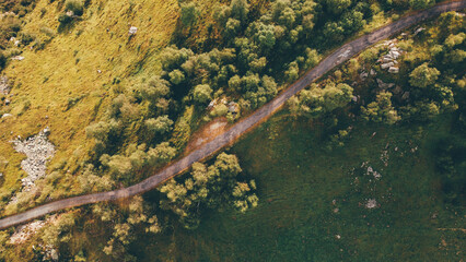 Aerial view of narrow road among green summer trees and fields in the Alps, high angle view. Natural background.