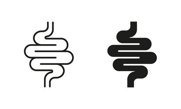 Intestine Line and Silhouette Icon Set. Gastrointestinal Inflammation Symbol Collection. Health Colon, Small Gut, Bowel, Human Digestive System Pictogram. Isolated Vector Illustration