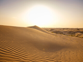 Fototapeta na wymiar Fantastic view of Landscape with Sand Dune at sunset, Liwa Oasis, Abu Dhabi, UAE. Water crisis and World Climate change.