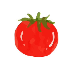 fresh tomato watercolor
