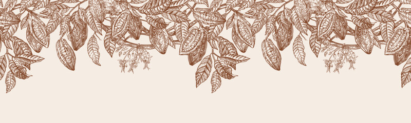 Branches of cocoa plant with fruits and flowers. Seamless floral border. Brown. Drawing.