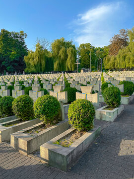 Lviv, Ukraine - 28 August 2023: Memorial of Ukrainian Sich Riflemen at Yaniv cemetery.