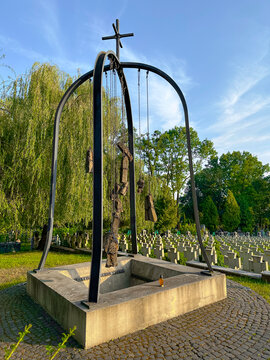 Lviv, Ukraine - 28 August 2023: Memorial of Ukrainian Sich Riflemen at Yaniv cemetery.