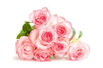 Beautiful blossom pink rose flowers bouquet isolated on white background