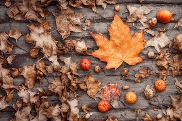 Colori e texture autunnali