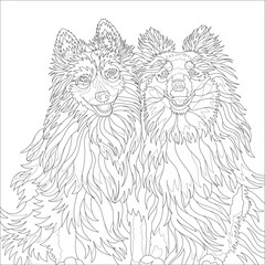 coloring book for adults dogs black and white drawing