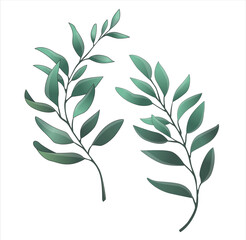 leaves green plant artwork branch