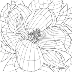 Obraz premium magnolia flower vector coloring book