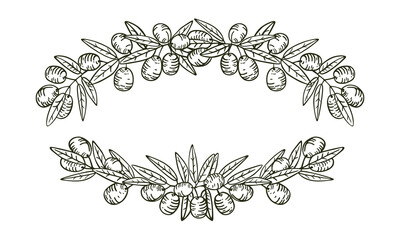 Oval frame made of olive branches and fruits. Isolated vector on white background. Hand drawing.