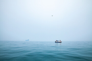 Naklejka premium A flock of whale sharks swim among the tourist boats..The azure sea breaks bubbles from whale sharks..The sea is clear and calm to see schools of fish underwater.