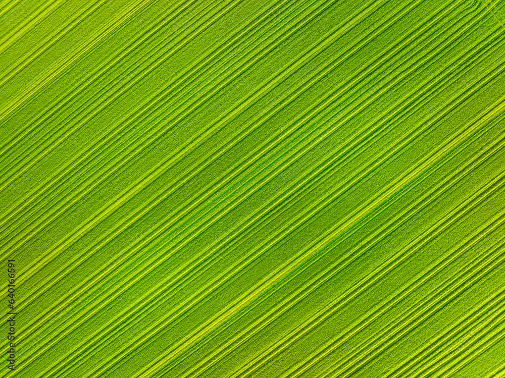 Poster aerial view of the field. nature as a background. landscape from a drone. light and shadow. natural 