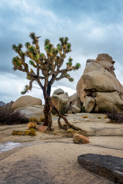 Hidden Valley in Joshua Tree national park landscape, Dramatic sky with clouds, California