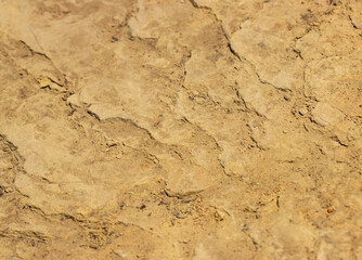 Fototapeta premium sandy dry soil as background.