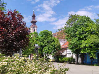 Obraz premium spring in rural village Backi Petrovac in Vojvodina