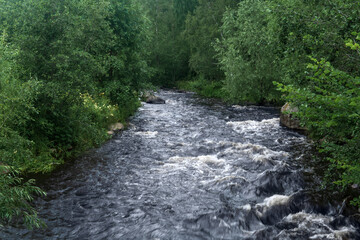 fast mountain river between wooded banks