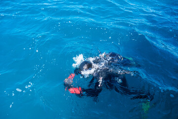 Taucher schwimmt im Meer an Wasseroberfläche- scuba diver