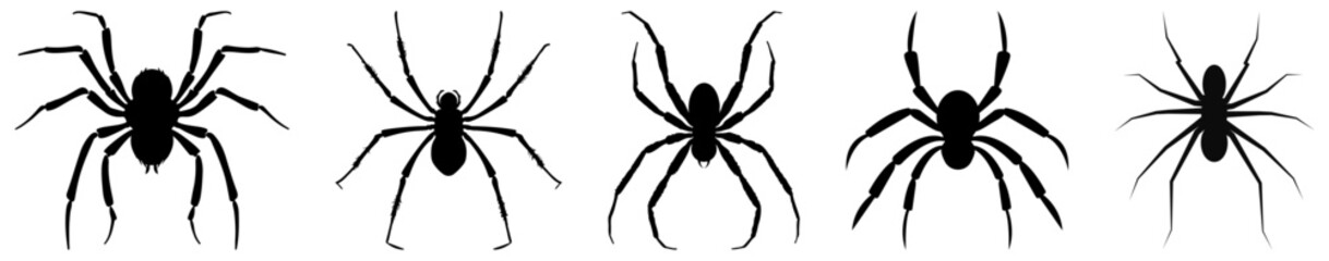 Set of black silhouette spider icons. Vector illustration isolated on white background