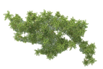 Obraz premium Landscape isolated on transparent background 3d rendering illustration