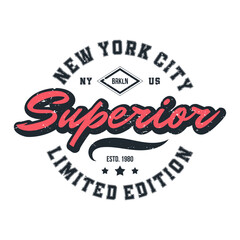New York, Brooklyn t-shirt design. T-shirt print design in American college style. Athletic typography for tee shirt print in university and college style. Vector