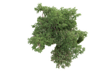 Landscape isolated on transparent background 3d rendering illustration