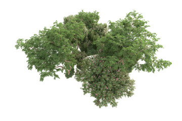 Obraz premium Landscape isolated on transparent background 3d rendering illustration