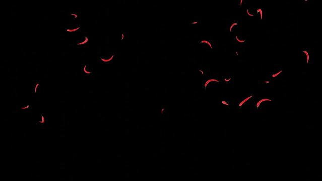 Animated raining red chilies on a black background and hundreds of chilies