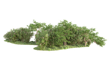 Landscape isolated on transparent background 3d rendering illustration