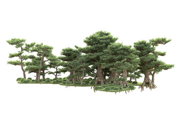 Realistic forest isolated on transparent background. 3d rendering - illustration