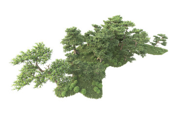 Obraz premium Realistic forest isolated on transparent background. 3d rendering - illustration