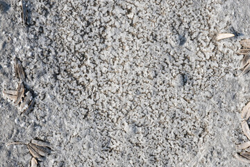 Backgrounds made of rocks and sea salts formed from minerals and above them