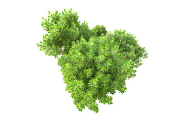 Fototapeta premium Landscape isolated on transparent background. 3d rendering - illustration