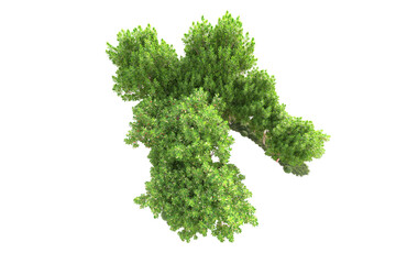 Fototapeta premium Landscape isolated on transparent background. 3d rendering - illustration