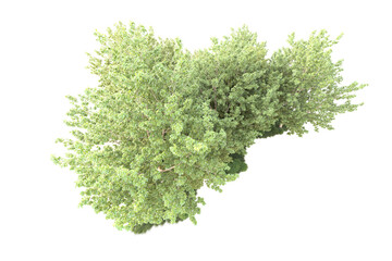 Obraz premium Landscape isolated on transparent background. 3d rendering - illustration