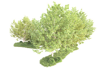 Landscape isolated on transparent background. 3d rendering - illustration