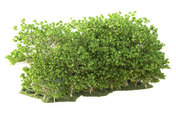 Obraz premium Landscape isolated on transparent background. 3d rendering - illustration