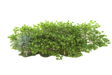 Fototapeta premium Landscape isolated on transparent background. 3d rendering - illustration