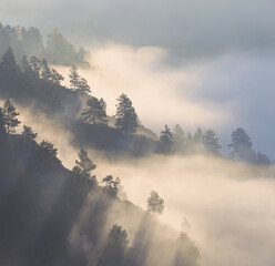Morning in the mountains, fog and forest on the slope, rays of light