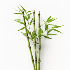 Image of green bamboo tree on white background. Nature. Illustration, Generative AI.