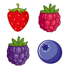 Vector illustration of strawberries, raspberries, blackberries, blueberries. Wild berries on a white background.