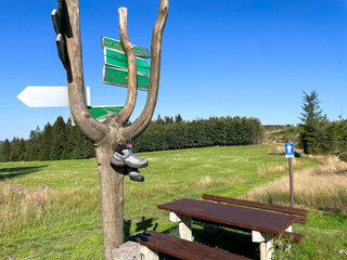 wooden bench on the Rennsteig in the Thuringian Forest