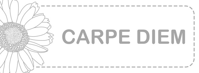 Carpe Diem Flower Minimalistic Grey White Text Horizontal